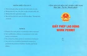 Dịch vụ tư vấn Giấy phép lao động cho nhân sự Người nước ngoài.